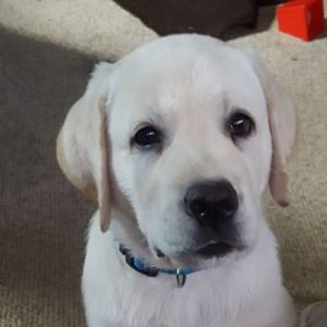 Meet your Posher, Denise